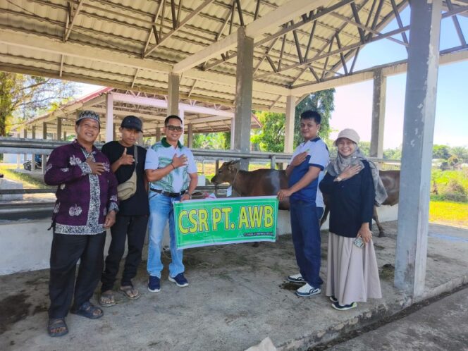 
					PT AWB Tebar 13 Ekor Sapi Kurban di Dharmasraya, Wujud Syukur dan Berbagi di Idul Adha 2026