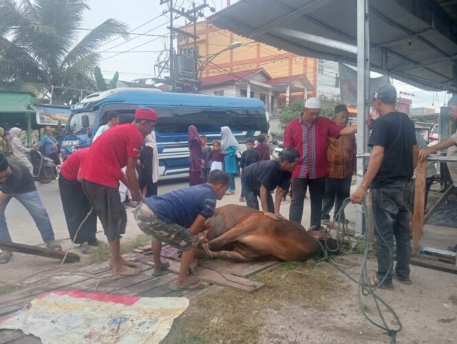 
					Semangat Gotong Royong, Warga RT 14 RW 04 Batang Tuaka Tembilahan Sembelih 3 Hewan Qurban