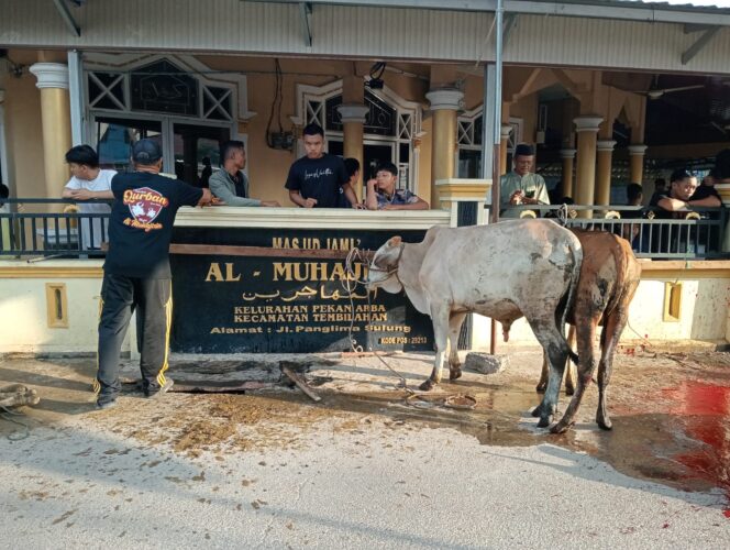 
					Semangat Gotong Royong, Mesjid Al Muhajirin Kelurahan Pekan Arba Sembelih 17 Ekor Hewan Qurban