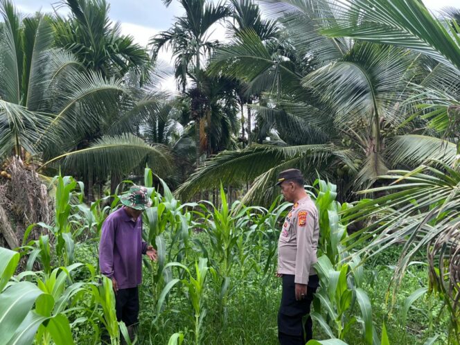 
					Dukung Program Asta Cita, Kapolsek Kuindra Pantau Langsung Perkembangan Lahan Jagung di Desa Teluk Dalam