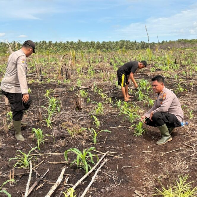 
					Polsek Mandah ,Polres Inhil Siap Mendukung Program Asta Cita Presiden Republik Indonesia Melalui Ketahanan Pangan