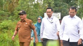 Kawasan Strategis Tarok City Padang Pariaman,Akan Dibangun Sekolah Rakyat Dengan Estimasi Anggaran Rp 200 Miliar.(Foto.dok istimewa)