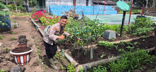
					Bhabinkamtibmas Polsek Pelangiran Pantau Perkembangan Tanaman Terong dan Cabai di Desa Tagagiri Tama Jaya