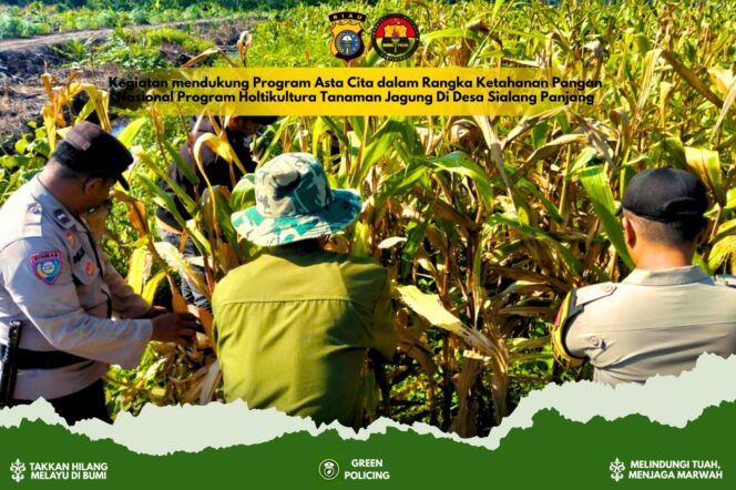 
					Gelar Penanaman Jagung Serentak di Desa Pulau Palas demi Dukung Swasembada Pangan
