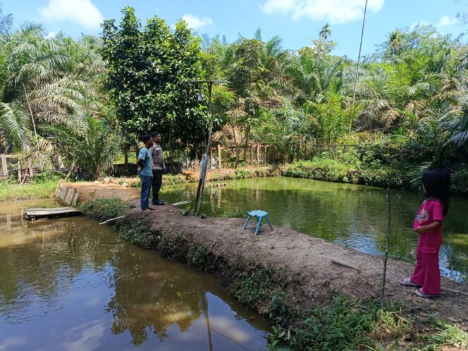 
					Sambang ke Kolam Ikan Nila, Bhabinkamtibmas Polsek Kelayang Perkuat Ketahanan Pangan di Desa Kota Medan