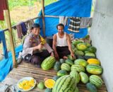 Dukung Program Asta Cita, Bhabinkamtibmas Polsek Tembilahan Hulu Dampingi Petani Semangka di Sialang Panjang