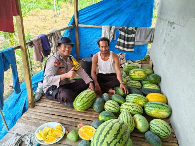 
					Dukung Program Asta Cita, Bhabinkamtibmas Polsek Tembilahan Hulu Dampingi Petani Semangka di Sialang Panjang