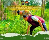 Dukung Ketahanan Pangan, Polsek Tembilahan Hulu Pantau Progres Tanaman Jagung Tumpang Sari di Pulau Palas