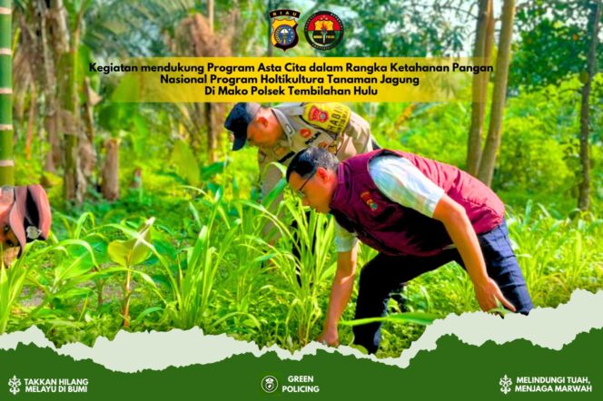 
					Dukung Ketahanan Pangan, Polsek Tembilahan Hulu Pantau Progres Tanaman Jagung Tumpang Sari di Pulau Palas
