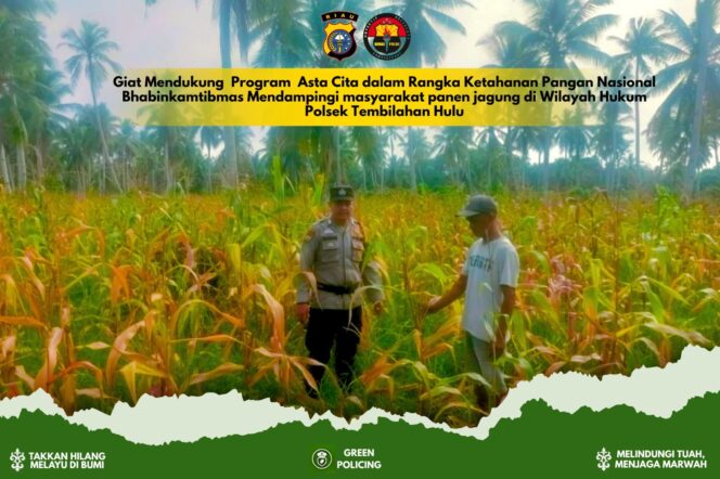 
					Dukung Asta Cita, Polsek Tembilahan Hulu Pantau Kesiapan Panen Jagung di Pekan Kamis