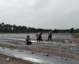Polsek Tempuling Laksanakan Pengecekan Ketahanan Pangan Dukung Program Swasembada Pangan Polda Riau