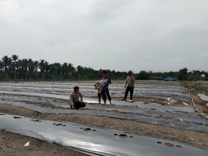 
					Polsek Tempuling Laksanakan Pengecekan Ketahanan Pangan Dukung Program Swasembada Pangan Polda Riau