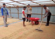 Kanit Samapta Polsek Sungai Batang dan Babinkamtibmas Benteng Utara Sambangi Petani Jemur Padi