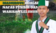 HMI Cabang Tembilahan Minta APH Usut Tuntas Dugaan Penguasaan Kawasan Mangrove di Mandah oleh PT RSA