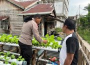 Polsek Kateman Dampingi Petani Tagaraja Rawat Tanaman Sawi Dukung Ketahanan Pangan