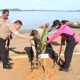 Gerakan Indonesia Asri, Polres Sibolga Bersihkan Pantai dan Tanam Pohon Sambut Hari Bhayangkara ke-80
