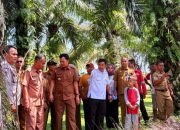 Wabup Padang Pariaman Minta Pengerukan Bandar di Ulakan Tapakis Dipercepat untuk Kurangi Risiko Banjir