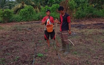 Dukung Program Asta Cita Presiden, Polsek Kuindra Bersama Pemdes Tanjung Melayu Tanam Jagung Serentak