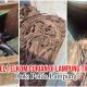 Terbongkarnya Dugaan Pencurian Kabel PT Telkom, Berawal dari Temuan Tim PPWI di Lampung Timur