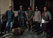 Diduga Curi Empat Tandan Sawit Milik Perusahaan, Seorang Pemuda Diamankan di Pinangsori