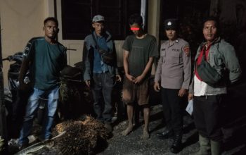 Diduga Curi Empat Tandan Sawit Milik Perusahaan, Seorang Pemuda Diamankan di Pinangsori