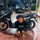 Aksi Curanmor di Sibabangun Terbongkar, Polres Tapteng Bekuk Pelaku Asal Tapsel