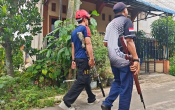 Delapan Warga Jadi Korban Gigitan Monyet Liar, Damkar Inhil Turunkan 15 Personel Lakukan Pencarian