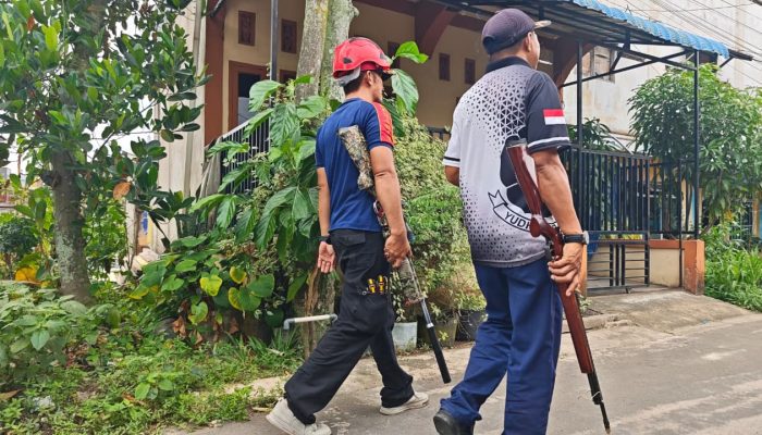 Delapan Warga Jadi Korban Gigitan Monyet Liar, Damkar Inhil Turunkan 15 Personel Lakukan Pencarian