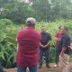 Kadis Perkim Tapteng Bantah Isu Bupati Tapanuli Tengah Belum Tanda Tangani Dokumen Lahan Hunian Tetap