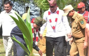 Padang Pariaman Jadi Titik Awal Gerakan Tobat Ekologis Nasional, Menteri LH Tanam Mangrove dan Kelapa