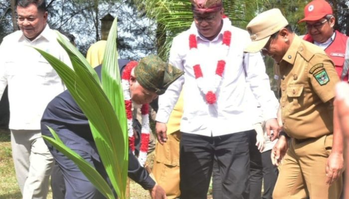 Padang Pariaman Jadi Titik Awal Gerakan Tobat Ekologis Nasional, Menteri LH Tanam Mangrove dan Kelapa