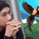 Bika Dixie Disorot Pecinta Satwa: Bukan Musik Biasa, Itu Ungkapan Kemarahan dan Perlawanan