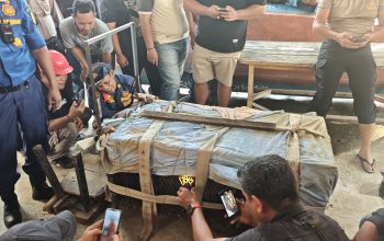 Satu Ekor Monyet Berhasil Dijebak di Tembilahan, BBKSDA Riau Lakukan Identifikasi