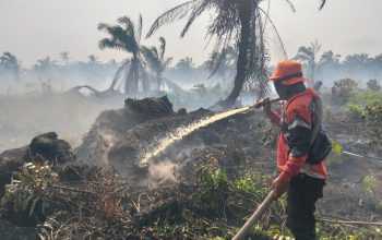 BPBD Kabupaten Indragiri Hilir Catat 80 Titik Hotspot di 9 Kecamatan