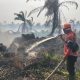 BPBD Kabupaten Indragiri Hilir Catat 80 Titik Hotspot di 9 Kecamatan