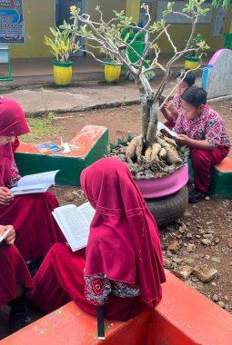 SDN 210 Sanrangeng Sulap Keterbatasan Jadi Taman Literasi dan Numerasi