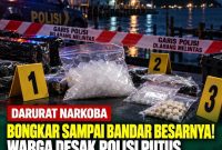 Oplus_16908288