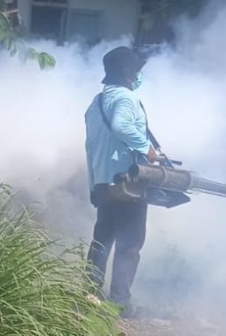 Kadis Kesehatan Tapteng : Cegah DBD di Musim Penghujan, Dinas Kesehatan Tapteng Lakukan Fogging Serentak di 20 Kecamatan