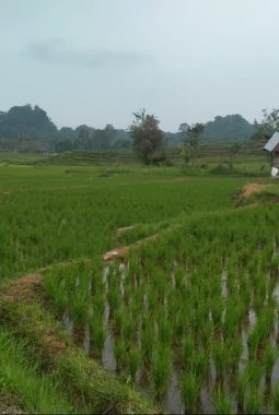 SOSOK INSPIRATIF DI PALEMBAYAN | PATUT DICONTOH!