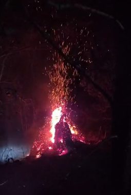 Kobaran Api Kembali Meluas di Air Nipa, Tim Gabungan dan Warga Bertempur Lawan Si Jago Merah