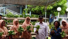 Peluncuran program tanaman hidroponik di lingkungan Kantor Pusat BKN. (Dok. Istimewa)