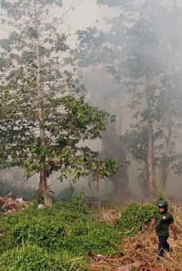 Kebakaran Lahan Areal Pemukiman Warga Fangahu Kota Bobong Gerak Cepat Satuan Polres & Damkar Pulau Taliabu Berhasil Padamkan Si Jago Merah