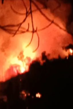 Kebakaran Susulan Kembali Melanda  Lahan Perkebunan Cengkeh Milik Warga Desa Salati Ribuan Cengkih Di Lalap Si Jago Merah