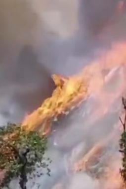 Ketua Investigasi LPK GPI La Omy La Tua Jangan Buat Masyarakat Tani Kabupaten Pulau Menjadi Bahan Lelucon